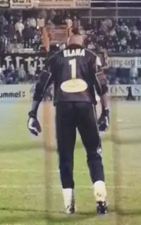 Image illustrative de l’article Steeve Elana