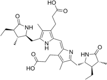 Image illustrative de l’article Stercobiline