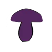 Schéma de stipe ventru