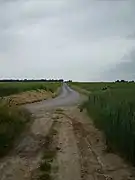 Strée, chaussée Brunehault