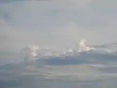 Stratocumulus castellanus