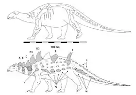Struthiosaurus