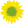icône décorative