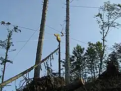 Support intermédiaire utilisé pendant le débardage par câble (2006).