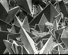 Cristaux de weddellite (oxalate de calcium dihydraté) sur la surface d'un calcul rénal. Image de microscopie électronique à balayage (MEB), surface dans la réalité = 0,35 × 0,45 mm.