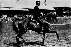 Image illustrative de l’article Sven Colliander