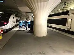 Rames TGV « Chardon 5 » (à gauche) et « Chardon 4 » (à droite), en gare de Paris-Austerlitz.