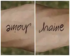 Amour / Haine, hétérogramme (le mot change) et visuel réversible au sein duquel deux interprétations cohabitent.