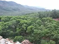 Réhabilitation de terrains miniers