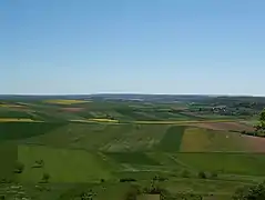 Paysage agricole dans le nord.