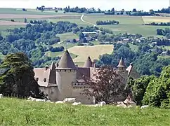 Le château de Virieu dans son environnement