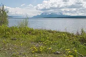 Image illustrative de l’article Lac Teslin