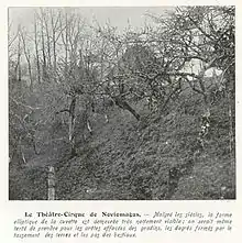 Photographie en noir et blanc avec des arbres