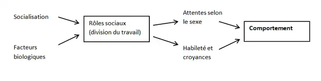 Théorie des rôles sociaux (Eagly, 1987)
