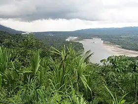 Image illustrative de l’article Parc national de Manú