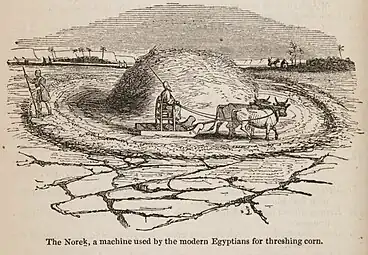 Dépiquage au norek (plaustellum, traîneau à petits rouleaux), Égypte, 1847