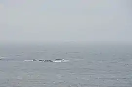 Ici en juin 2011, le RMV Scillonian III (en) de l'ISSC (en), emmenant ses passagers à Newquay, passe au large de la péninsule de Penwith.