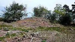 Image illustrative de l’article Le Retour au pays natal