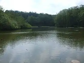 Image illustrative de l’article Thorsberg moor