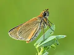 Encore une en Estonie.