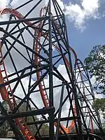 Tigris à Busch Gardens Tampa