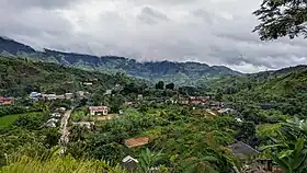 Tolongoina