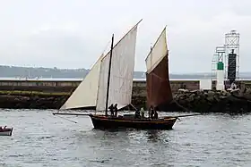 illustration de Rose of Argyll