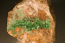 Torbernite - Loire, France (10,5 × 8,5 cm)