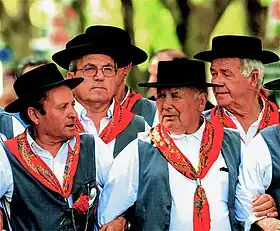 Image illustrative de l’article Cante alentejano