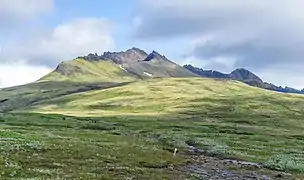 Landes de Skaftafellsheiði, avec vue des pics Kristínartindar.