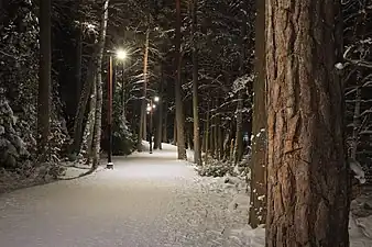 Piste éclairée du lac Kuusijärvi.