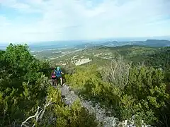 Le haut de la combe de Malaval sur la course en 2021. Les Dentelles de Montmirail sont visibles au fond à droite..