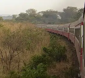 Image illustrative de l’article Transcamerounais