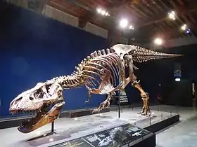 Image illustrative de l’article Trix (dinosaure)