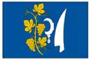 Drapeau de Troubsko