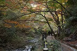 Parc de Tsudzumigataki.