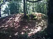 Guidel : le tumulus de Kerméné.