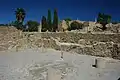 Aperçu d'une partie du quartier dit des villas romaines.