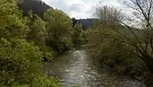 Le Neckar entre Epfendorf et Irslenbach.