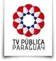 Logo de TV Pública Paraguay utilisés de 2011 à 2013.