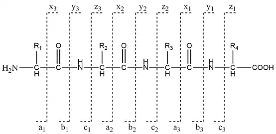 Types de fragmentation a, b, c et x, y, z