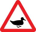 Oiseaux sauvages