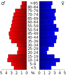 Schéma représentant la population du comté, par tranche d'âge. En rouge, à gauche, les femmes, en bleu à droite, les hommes.
