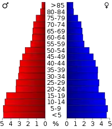 Schéma représentant la population du comté, par tranche d'âge. En rouge, à gauche, les femmes, en bleu à droite, les hommes.
