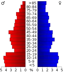 Schéma représentant la population du comté, par tranche d'âge. En rouge, à gauche, les femmes, en bleu à droite, les hommes.