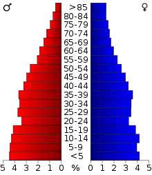 Schéma représentant la population du comté, par tranche d'âge. En rouge, à gauche, les femmes, en bleu à droite, les hommes.