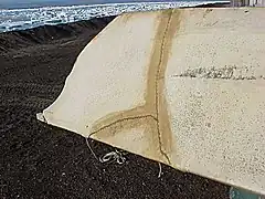 Détails de la couture des peaux de phoque couvrant l'armature.