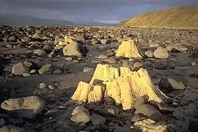 Image illustrative de l’article Île Unga