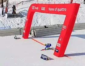 Image illustrative de l’article Roberto Nani