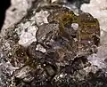 Vésuvianite - Monte Somma, Province de Naples, Italie - (Vue 1.5 cm)
